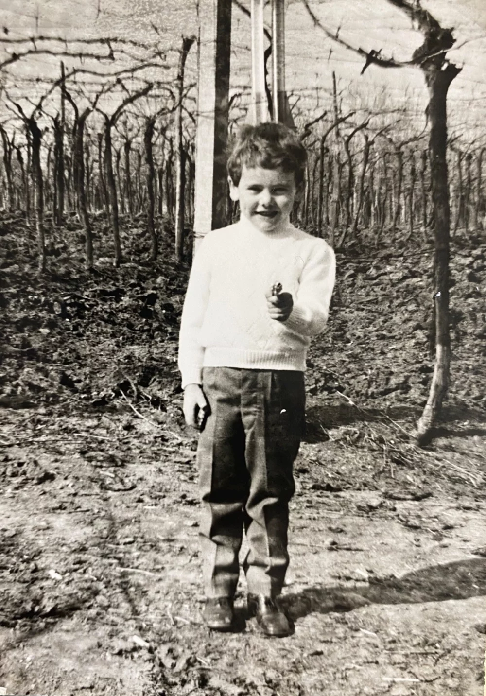 Tenuta IDE - When the roots are deep, there is no reason to be afraid of wind.